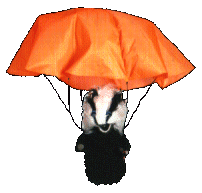 A badger in a parachute (well, what did you think it was a picture of?)