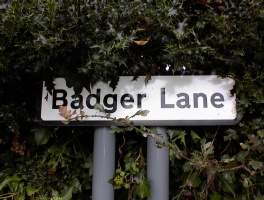 Badger Lane