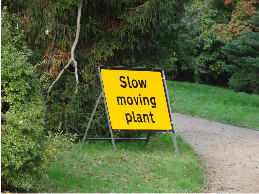 normal_plant.jpg - I've watched it for hours and it hasn't moved an inch.